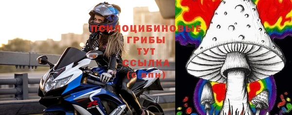 спайс Алзамай