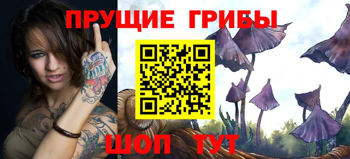 Фролово  Галлюциногенные грибы MAGIC MUSHROOMS  Псилоцибиновые грибы MAGIC MUSHROOMS  Вход с VPN 