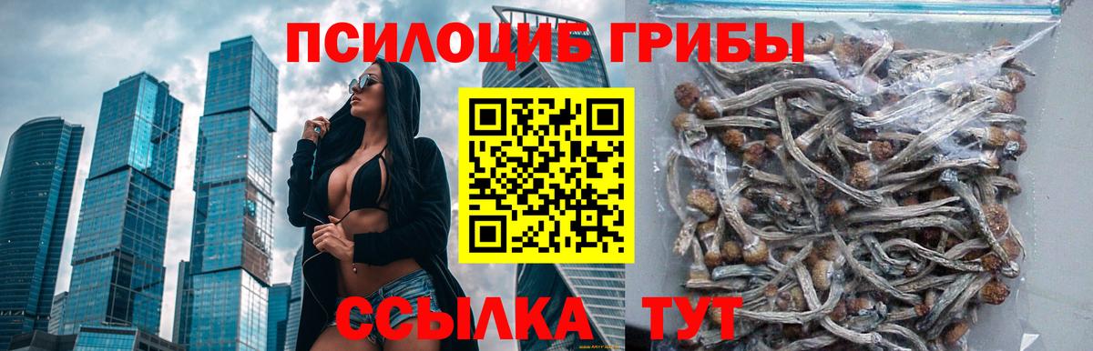 Галлюциногенные грибы мицелий Фролово